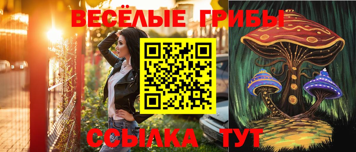 Псилоцибиновые грибы Psilocybine cubensis Волжский